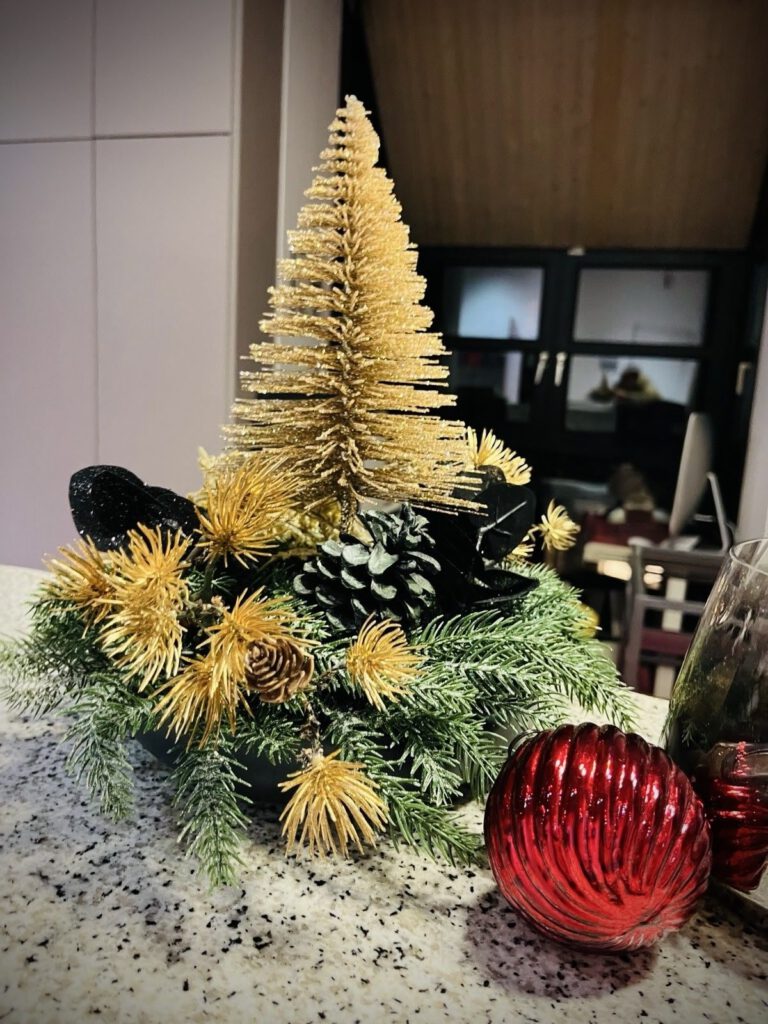 Weihnachten 2024 Kieferorthopädie Schwandorf Praxis Dr. Rieder